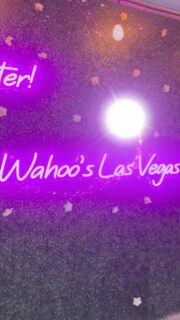 Neon vibes @wahoos.flamingolv 💜